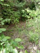 IMG_20190521_144247.jpg