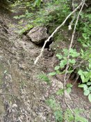 IMG_20190521_144314.jpg