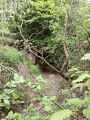 IMG_20190521_144328.jpg