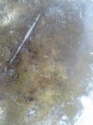 IMG_20121006_105224.jpg