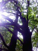 IMG_20190521_150131.jpg