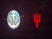 PICT0202.jpg