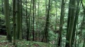IMG_20190524_113552.jpg