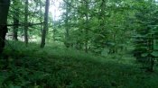 IMG_20190524_150250.jpg