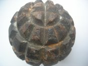 DSCN8157.jpg