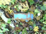 DSC00909.JPG