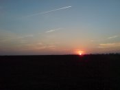 DSC00061.jpg