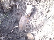 IMG_20121007_125151.jpg