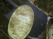 20121006_111614.jpg