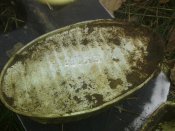 20121006_111711.jpg