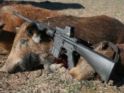 Bushmst450.jpg