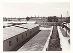 t-album-0012.jpg