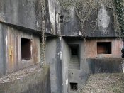 B1.jpg