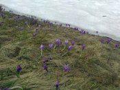 IMG_20190520_155654.jpg