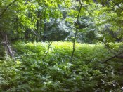 IMG_20190523_121227.jpg