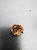 IMG_20190527_204125.jpg