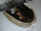 20121008_191431.jpg