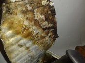 20121008_191437.jpg