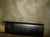 DSC06273.jpg
