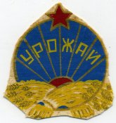 img787.jpg