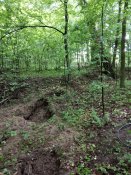 IMG_20190528_114905.jpg
