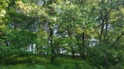 IMG_20190528_063727.jpg