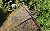 DSC00973.JPG