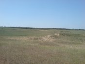 DSC00120.jpg