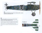 Profile-FokkerDVIIMixJasta54.jpg