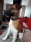 20190523_065657.jpg