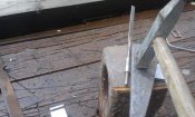 20190529_124557.jpg