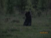 IMG_0405.JPG