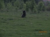 IMG_0406.JPG