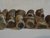HPNX3770.JPG