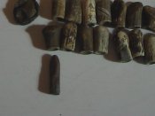HPNX3772.JPG