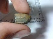 1796721.thumb.jpeg