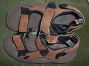 100_2341.jpg