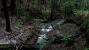 IMG_20190601_114341.jpg