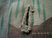 IMG779.jpg