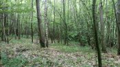 IMG_20190602_115816.jpg