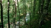 IMG_20190602_174721.jpg
