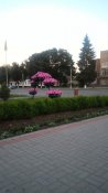P_20190602_204825.jpg