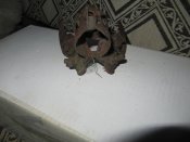 IMG_8068.JPG