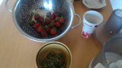 P_20190605_141944.jpg