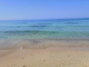 IMG_20190529_085721.jpg