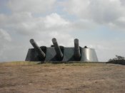 r8AiFVRSkII.jpg