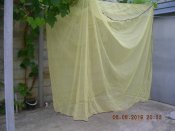 DSCN6582.JPG