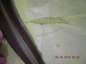 DSCN6580.JPG