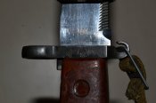 DSC_0415.JPG