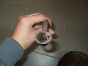 SDC11342.jpg